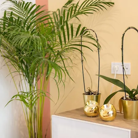 Appartamento Your - Duque De Palmela